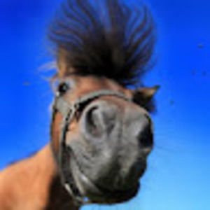 Meet your Posher, Very